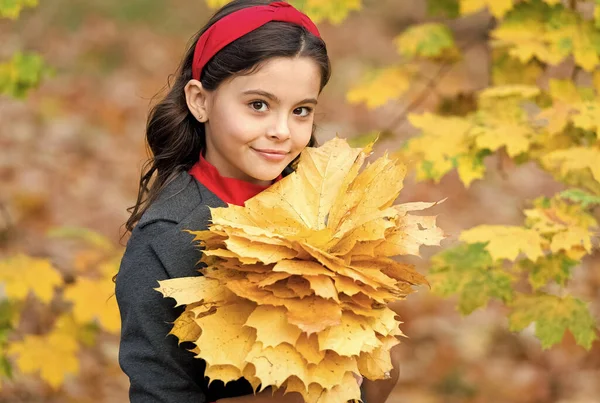 Bambino sorridente manciata di foglie d'acero giallo nel parco, bellezza autunnale — Foto Stock