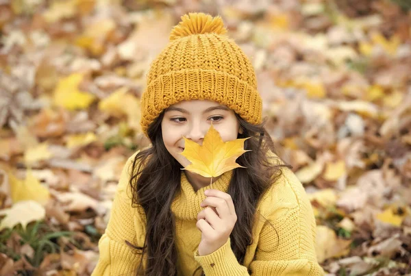 Criança adolescente feliz se divertindo na floresta de outono com belas folhas de bordo sazonais vestindo roupas quentes de malha, como chapéu e suéter, estilo outono — Fotografia de Stock