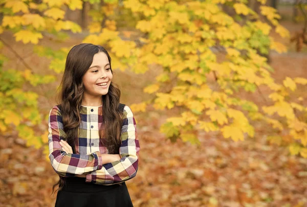 Uzun saçlı mutlu kız Sonbahar doğası ve sonbaharın tadını çıkar — Stok fotoğraf