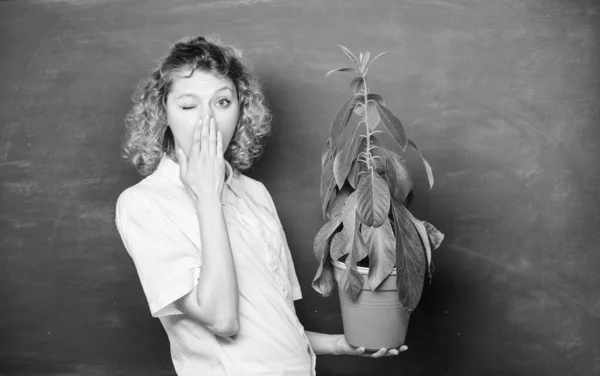 Ecología conceptual. profesora de gafas en la clase de biología. estudiante con planta en pizarra. educación ambiental. estudio de naturaleza escolar. árbol del conocimiento. ecología del aprendizaje escolar — Foto de Stock