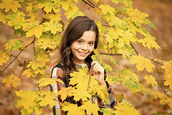 Adorabile bambino con bel sorriso godersi la stagione autunnale, la natura — Foto Stock