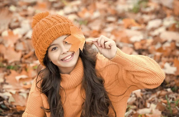 Perfetta giornata autunnale di allegra ragazza in maglia cappello e maglione rilassarsi nella foresta stagione autunnale godendo del bel tempo, divertimento autunnale — Foto Stock