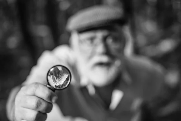 Picky detective in forest. Explore nature. Pensioner with magnifier exploring forest selective focus. Old man scientist. Bearded grandfather in forest. Private investigation. Zoom. Curiosity concept — Stock Photo, Image