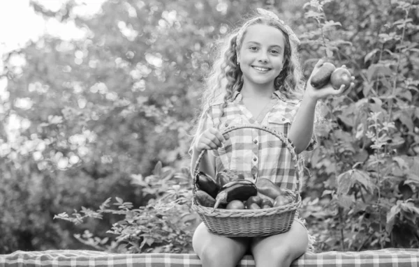 Mangez sainement. Concept de récolte estivale. Sans munitions. Concept d'alimentation saine. Panier enfant avec fond nature légumes. Eco agriculture. Fille mignon souriant enfant vivant une vie saine. Mode de vie sain — Photo