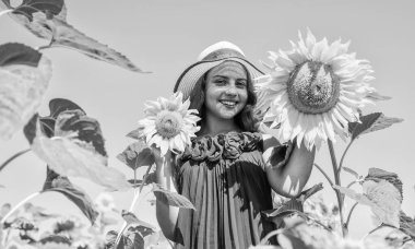 Küçük kız kırsal tarzda ayçiçeklerinin arkasına saklanıyor, iyi hasat.