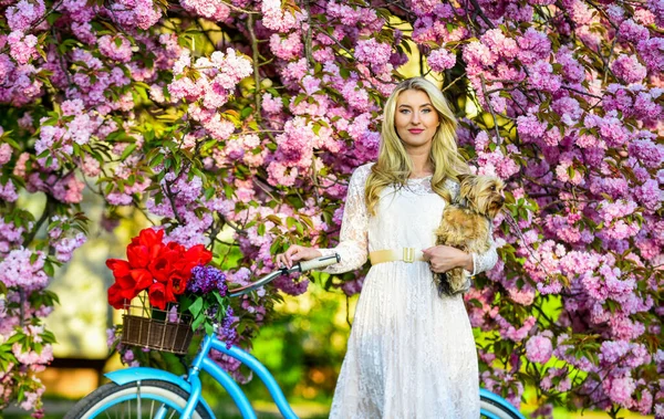 Mode de vie sain. Transport et voyages. Saison Sakura. Loisirs et loisirs. Fille vintage cruiser vélo près de sakura arbre. Concept touristique. Femme dans le jardin. Sakura arbre en fleurs. Vacances de printemps — Photo