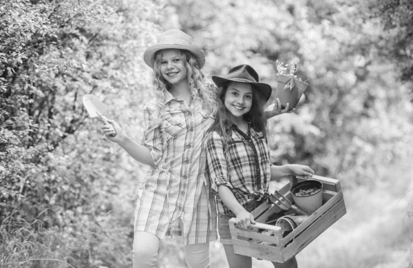 种植蔬菜。暑期活动。姐姐们可爱的孩子在农场帮忙。农业概念。女孩种植植物。种植和浇灌。快乐的孩子们在花园里干活。种植蔬菜 — 图库照片