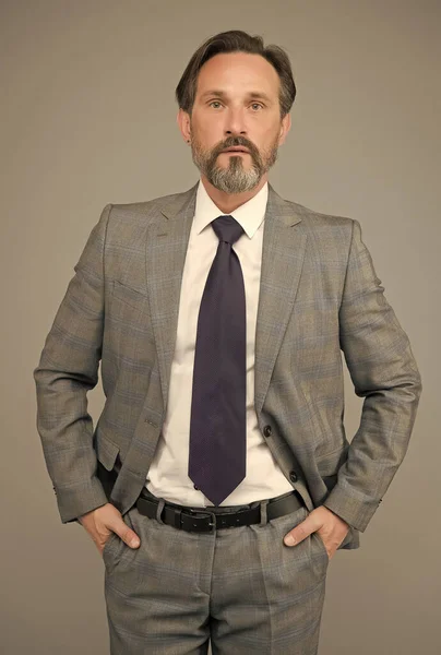 Guapo adulto jefe hombre en oficina desgaste con corbata listo para el trabajo, abogado — Foto de Stock