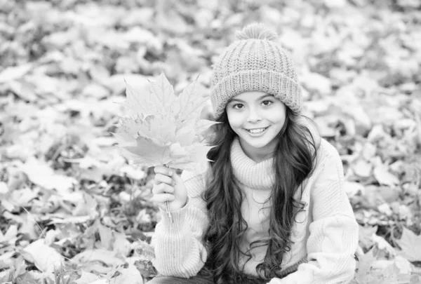 Perfecto día de otoño de niño alegre en sombrero de punto y suéter relajarse en el bosque de temporada de otoño disfrutando del buen tiempo, hoja de arce — Foto de Stock