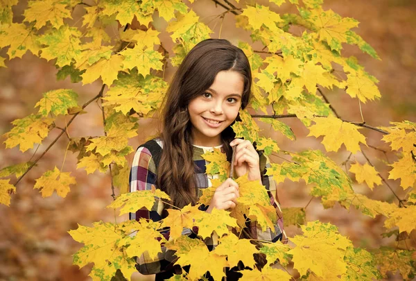 幸せな子供は秋の天気を楽しむ。秋の紅葉の女の子。秋だ。秋の森の中に長い髪の子供。自然の美しさ。秋の公園の子供。メイプルの葉を持つ陽気な女の子。失意のうちに — ストック写真