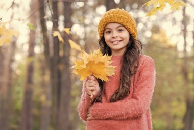 En iyi tatiller. Sonbahar güzeli. Ormanda günün tadını çıkar. Sarı akçaağaç yapraklarını düzenleyen çocuk. Sonbahar örgü moda. İlham için romantik bir sezon. Mutlu çocukluk. Genç kız parkta dinleniyor.