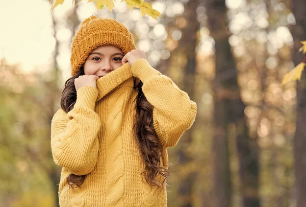 Lindo niño usar prendas de punto en el clima de otoño, la moda —  Fotos de Stock