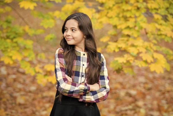 長い髪のかわいい子供は秋の自然、季節を楽しむ — ストック写真