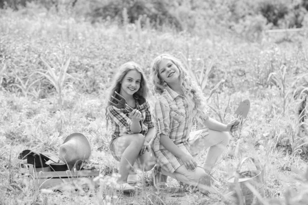 Actividad de verano. Hermanas lindos niños ayudando en la granja. Niñas plantando plantas. Plantación y riego. Niños alegres trabajando en el jardín. Concepto agrícola. Cultivando verduras. Plantación de verduras — Foto de Stock