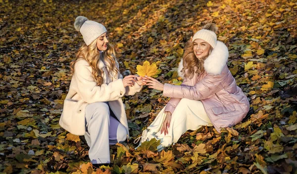 Che meraviglia. accogliente e confortevole. moda stagione autunnale. bellezza femminile e stile. donne con capelli lunghi nella foresta autunnale con foglie. ragazze su asciutto foglie cadute sfondo. indossare vestiti caldi — Foto Stock