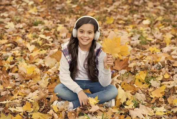 Dia de outono perfeito de criança alegre ouvir áudio livro ou música usando fones de ouvido no parque temporada de outono jogar com folhas de bordo caídas amarelas, educação escolar on-line — Fotografia de Stock