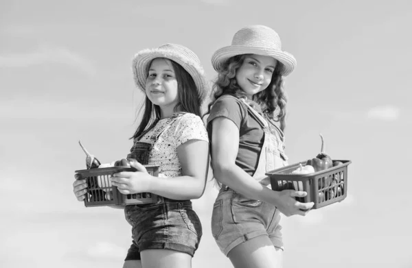 Bienvenido a nuestro mundo. La comida sana es vida feliz. niñas verduras en la cesta. Es natural. niños en la granja de verano. Comida ecológica. agricultura infantil. cosecha de otoño. cosecha de vitamina. jardín del mercado de primavera —  Fotos de Stock