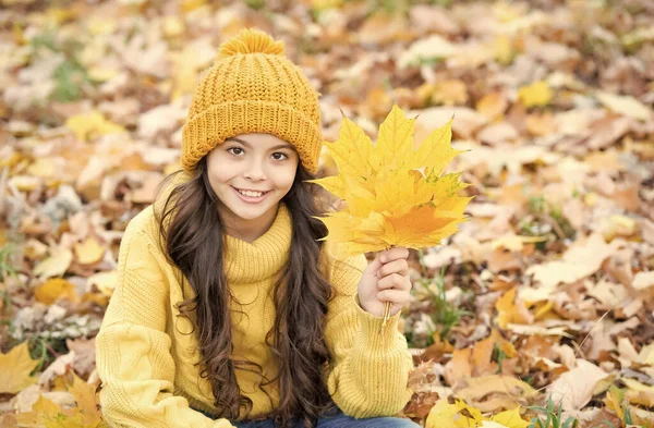 Tökéletes őszi nap vidám gyerek kötött kalap és pulóver pihenni őszi szezonban erdő élvezi a jó idő, juharfalevél — Stock Fotó