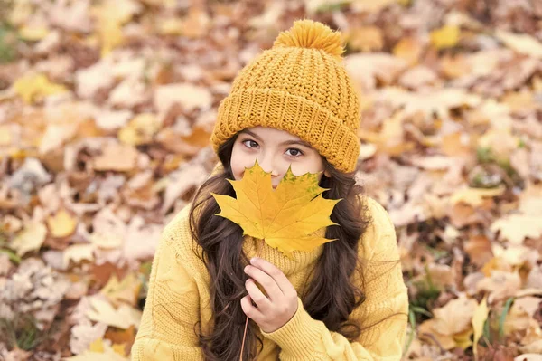 Естественный вид. Счастливый ребенок держит кленовый лист. Осенний вид маленькой модели. Маленькое дитя с прекрасным взглядом. Осенний вид и мода. Адекватный и симпатичный — стоковое фото
