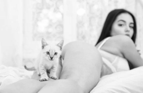 Speel met poesje. Kat en vrouw. Speelse vrouw en tedere kat in de slaapkamer. Sexy model gladde huid naakt lichaam spelen schattige kitten. Prachtig aantrekkelijk meisje ontspannen met schattige kitten. Kat spelen in bed — Stockfoto