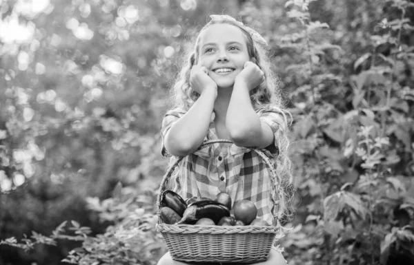 Healthy food concept. Girl cute smiling child living healthy life. Healthy lifestyle. Kid hold basket with vegetables nature background. Eco farming. Eat healthy. Summer harvest concept. Gmo free — Stock Photo, Image