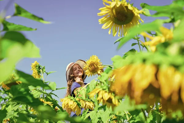 Ωραία λουλούδια. Χαρούμενη ημέρα των παιδιών. Παιδική ευτυχία. πορτρέτο του ευτυχισμένου παιδιού με όμορφο ηλιοτρόπιο. χαρούμενο παιδί με ψάθινο καπέλο ανάμεσα σε κίτρινα λουλούδια. μικρό κορίτσι στο πεδίο ηλιοτρόπιο καλοκαίρι — Φωτογραφία Αρχείου
