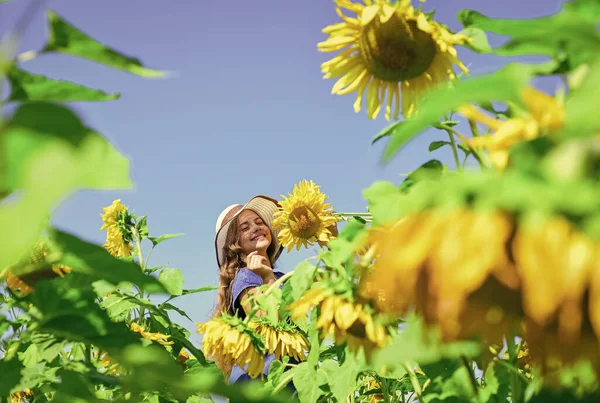 Bonitas flores. Feliz día de los niños. felicidad infantil. retrato de niño feliz con hermoso girasol. niño alegre en sombrero de paja entre flores amarillas. niña pequeña en el campo de girasol verano — Foto de Stock