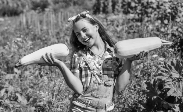 Pretty kid on farm. beauty of summer nature. little girl on farming garden with squash. growing vegetable marrow. happy childhood. retro beautiful girl showing zucchini. Fond of horticulture — Stock Photo, Image