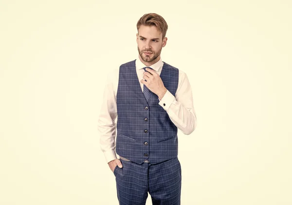 Project manager fix necktie wearing elegant waistcoat in formal fashion style, formalwear — Stock Photo, Image