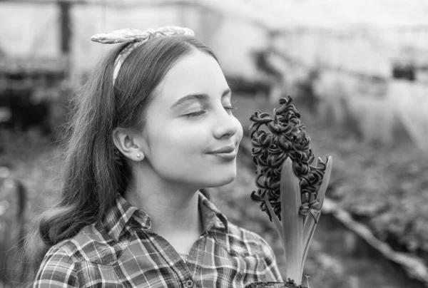 Fin lukt. Trädgårdsarbete för barn. Glad tonåring flicka florist i växthus. vår och sommar. — Stockfoto