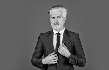 Ciddi ve konsantre bir patron. Resmi takım elbiseli sakallı CEO. Sarışın, sakallı bir hippi. Profesyonel işletme müdürü. Zarif adam şık bir kostüm. Olgun iş adamı karar veriyor