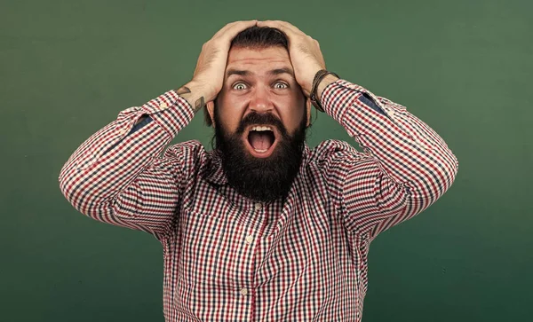 Surprised mature teacher on background of blackboard. brutal bearded man wear casual checkered shirt and shouting. express positive human emotions. caucasian hipster on green background — Stock Photo, Image