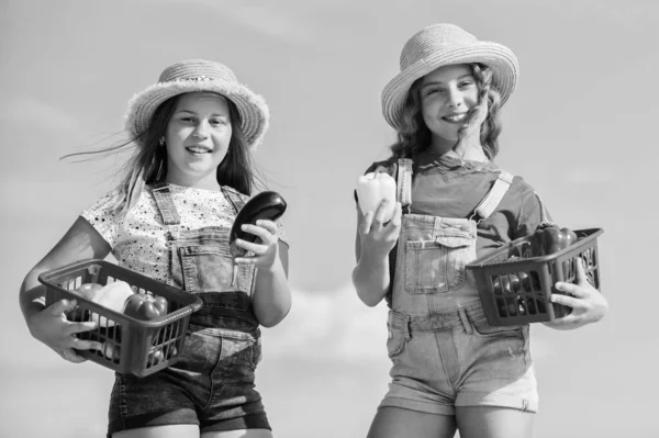 Een stukje natuur. Kinderen op zomerboerderij. Biologisch voedsel. kinderen in de landbouw. Herfst oogst. Gezond eten is gelukkig leven. vitamine oogsten. lentetuin. kleine meisjes groente in mand. Alleen natuurlijk — Stockfoto