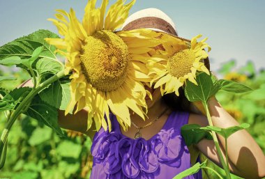 Ayçiçeklerinin arkasına saklanan küçük kırsal kız, bul beni.