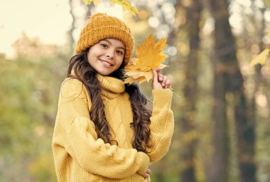 Sonbahar tarzında gülümseyen çocuk sarı akçaağaç yaprakları topluyor, çocukluk.