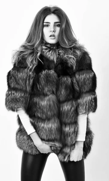 Concept de mode fourrure. Vêtements de luxe élite hiver. Manteau de fourrure marron féminin. Modèle de magasin de fourrure posant en peluche douce et chaude. Jolie fashionista. Femme maquillage et coiffure posant vison ou manteau de fourrure sable — Photo