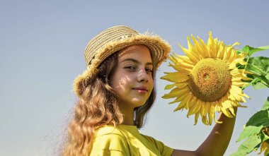 Küçük kız ayçiçeği tarlası mavi gökyüzü arka planı, köy tarzı.