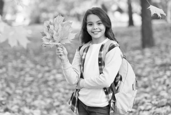 À l'école. feuilles d'érable automne dans le parc. météo saisonnière. bonheur d'enfance. beauté et nature. enfant heureux porter style décontracté. adolescent fille porter sac à dos sur le chemin de l'école. promenade enfant dans la forêt d'automne — Photo