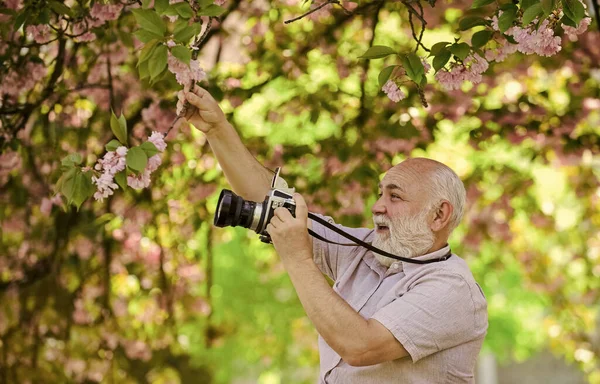 Senior man photographer blooming trees background. Cameraman retirement. Professional photographer. Capturing moments that captivate your heart. Photographer filming. Perfect frame. Pension hobby — Stock Photo, Image