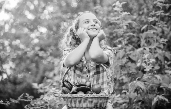 Nappali álmodozó. Boldog kis farmer. Őszi szüret. egészséges étel gyerekeknek. gyerek a nyári farmon. Biokaját. aratási vitamin. tavaszi vásár kert. Kislány zöldség a kosárban. Csak természetes. — Stock Fotó