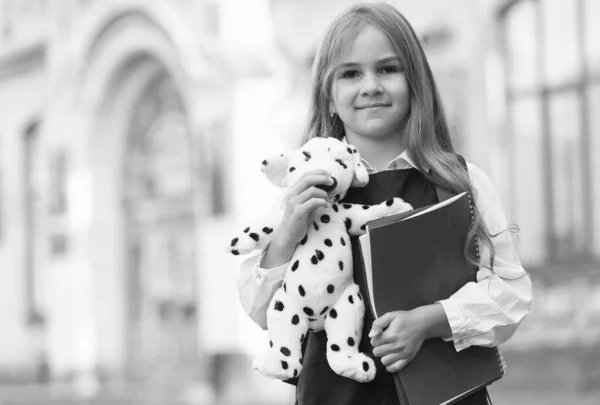 Ucz się i graj w przedszkole. Mały dzieciak trzyma zabawkowego psa i książki. Wczesna edukacja. Wracać do szkoły. Klub pozalekcyjny. Przyjaźń i przyjaźń. Aktywność edukacyjna. Skontaktuj się z nami, aby dowiedzieć się więcej, przestrzeń kopiowania — Zdjęcie stockowe