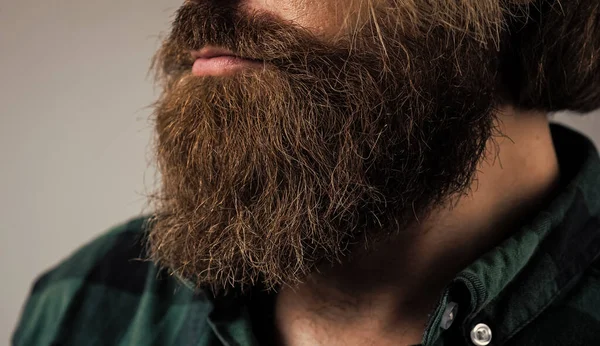 Buja ápolt szakáll brutális szakállas férfi, hajápolás — Stock Fotó