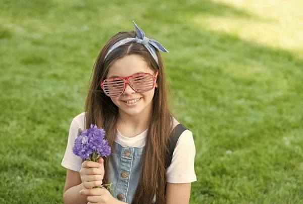 Fantasia ragazza fresca bouquet di fiordalisi stagione estiva, concetto privo di allergie — Foto Stock