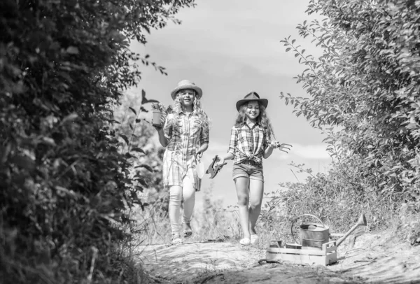 Dziewczyny z narzędziami ogrodniczymi. Siostry pomagające na farmie. W drodze na rodzinną farmę. Koncepcja rolnictwa. Urocze dziewczyny w kapeluszach sadzące rośliny. Rodzeństwo bawi się na farmie. Koncepcja rolnictwa ekologicznego — Zdjęcie stockowe