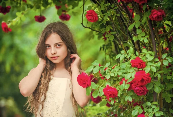 Dromerig meisje balzaal jurk in rozentuin, kleine prinses concept — Stockfoto