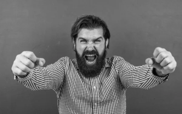 Kaukasischer Hipster auf grünem Hintergrund. glückliche reife Lehrerin auf dem Hintergrund der Tafel. Der bärtige Mann trägt lässig kariertes Hemd. Erfolge feiern. Ausdruck heller menschlicher Emotionen — Stockfoto