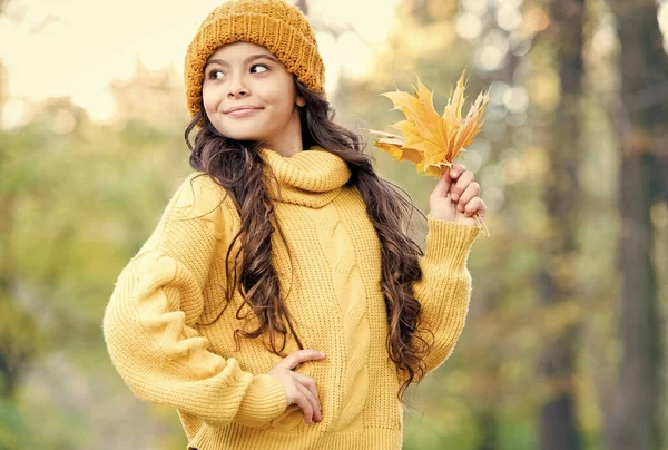 Sentirsi a proprio agio e alla moda. stile di bellezza. bambino felice rilassarsi nella natura autunnale. piccola ragazza indossare cappello a maglia e maglione. bambino godere di tempo autunnale nella foresta. ragazza tenere foglia d'acero nel parco autunnale — Foto Stock