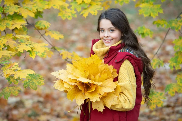 Felice bambino capelli lunghi con foglia d'acero all'aperto. natura autunnale. felicità infantile. — Foto Stock