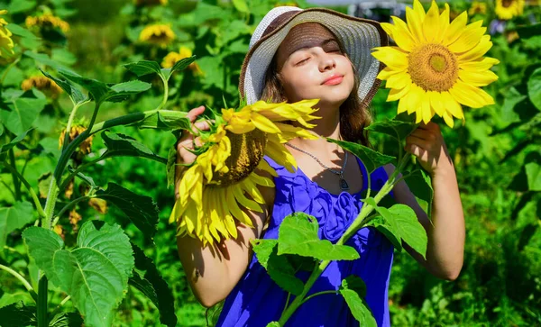 Niña de estilo rústico escondido detrás de los girasoles, día de los niños —  Fotos de Stock