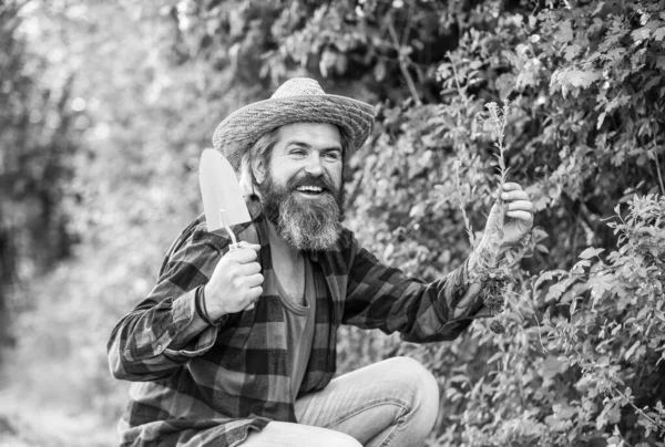 Dia da Terra. Amo a natureza. O verão funciona. Plantas tolerantes à sombra podem ser plantadas sob árvores. Plantando árvores e arbustos. Jardineiro plantando flor com espátula de jardim. Agricultor plantando mudas. Conceito de Hobby — Fotografia de Stock